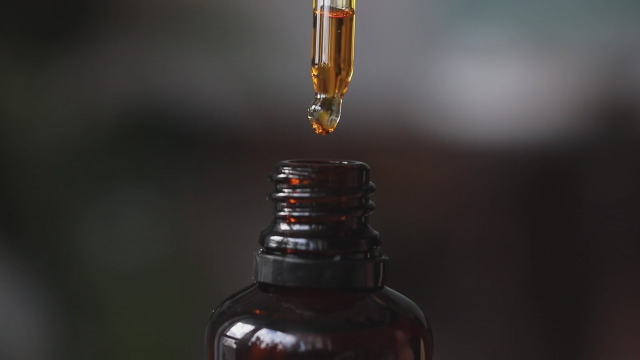 Load video: Ignite theme